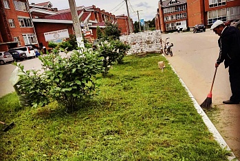Покосили траву в жилых комплексах Ново-Ленино